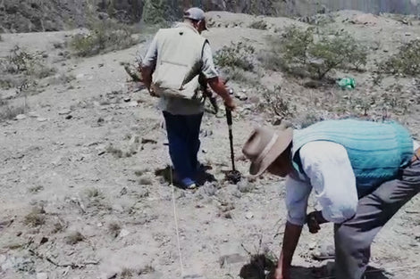 Escaneo de tierra con el detector de tesoros Evolution